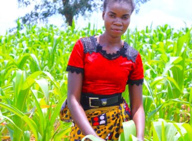 Agrifinance and conservation farming in the face of climate change