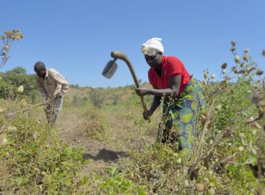 Designing Credit for Farmers